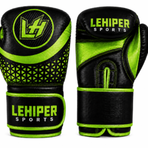 BOXING GLOVES #1060