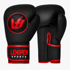 BOXING GLOVES #1062