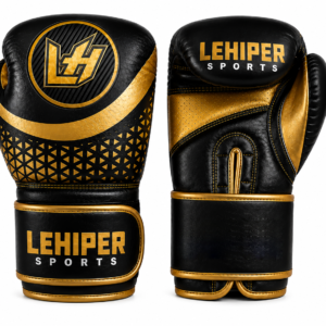 BOXING GLOVES #1056